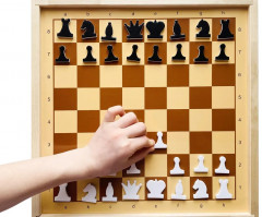 Игра «Шахматы и шашки демонстрационные» - Фото 6