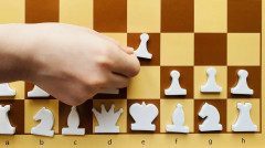 Игра «Шахматы и шашки демонстрационные» - Фото 12