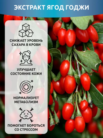 Набор дренажных коктейлей с экстрактом ягод годжи