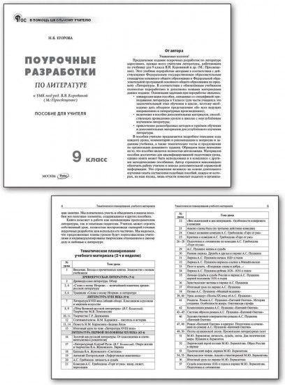 Поурочные разработки по литературе. 9 класс