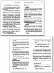 Поурочные разработки по литературе. 9 класс - Фото 3