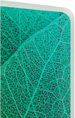 Тетрадь на кольцах «Листья» - Фото 1