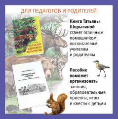 Игра настольная «Путешествие по России утки Руси» - Фото 6