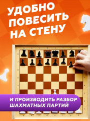 Шахматы и шашки магнитные демонстрационные - Фото 9