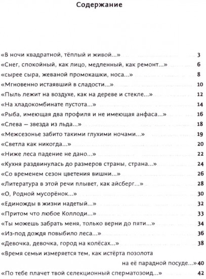 Кот, лошадь, трамвай, медведь