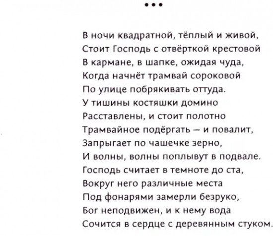 Кот, лошадь, трамвай, медведь