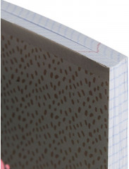 Тетрадь общая - Фото 2