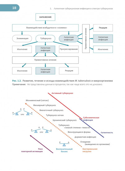 Латентная туберкулезная инфекция. Эпидемиология, патогенез, диагностика, лечение