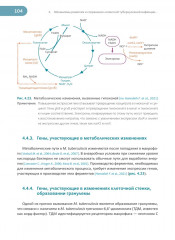 Латентная туберкулезная инфекция. Эпидемиология, патогенез, диагностика, лечение - Фото 7