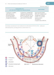 Латентная туберкулезная инфекция. Эпидемиология, патогенез, диагностика, лечение - Фото 8