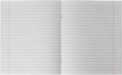 Комплект тетрадей школьных - Фото 6