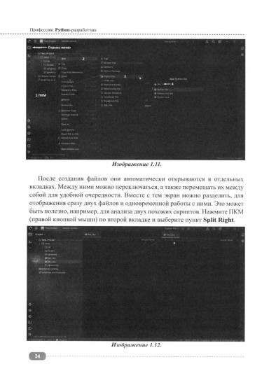 Python-разработчик