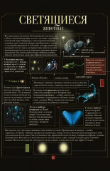 Диковинные животные - Фото 2