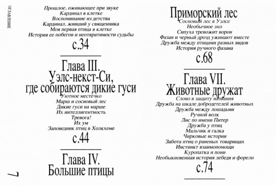 Приключение среди птиц