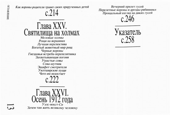 Приключение среди птиц