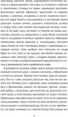 Средиземноморье, будни, игры и все такое - Фото 4