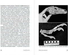 Время динозавров. Новая история древних ящеров - Фото 4