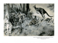 Таинственный остров - Фото 9