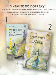 Стеклянная душа красавицы. Книга 2 - Фото 6