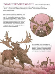 Первобытный мир. Люди и животные - Фото 1