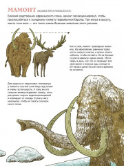 Первобытный мир. Люди и животные - Фото 3