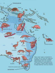 Первобытный мир. Люди и животные - Фото 6