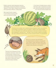 Удивительные уши - Фото 5