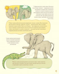 Удивительные уши - Фото 7