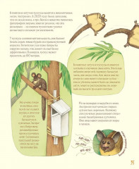 Удивительные уши - Фото 9