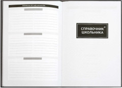 Планинг школьный с наклейками «Тут без оценок» - Фото 19