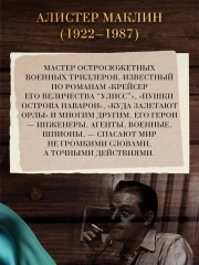 Чёрный крестоносец - Фото 4