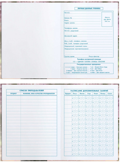 Дневник школьный «Брюнетка с собачкой»