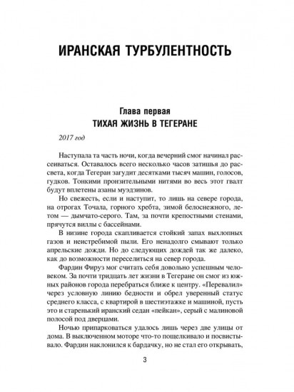Иранская турбулентность. Сын Йемена. Незнакомец в Сулукуле