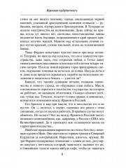 Иранская турбулентность. Сын Йемена. Незнакомец в Сулукуле - Фото 8