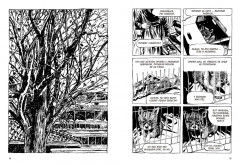 Собаки - Фото 1