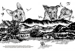 Собаки - Фото 2