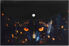 Папка для тетрадей «Кот-маг» - Фото 1