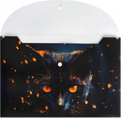 Папка для тетрадей «Кот-маг» - Фото 2