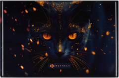 Папка для тетрадей «Кот-маг» - Фото 4