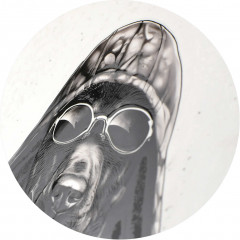 Дневник школьный «Доберман» - Фото 8