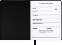 Дневник школьный - Фото 4