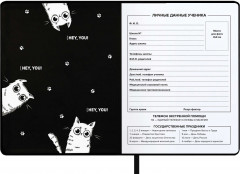 Дневник школьный - Фото 4