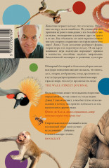 Царство игры - Фото 1