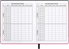 Дневник школьный - Фото 5