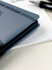 Дневник школьный - Фото 10