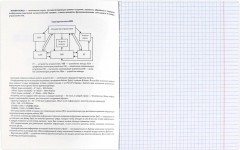 Тетрадь предметная «Информатика» - Фото 3