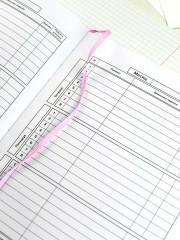 Дневник школьный «Пастельный кот» - Фото 14