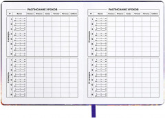 Дневник школьный «Кот и луна» - Фото 4