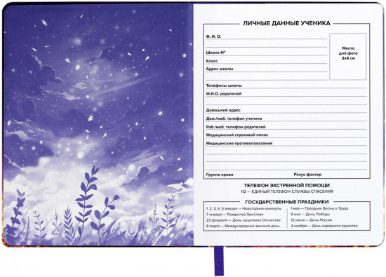 Дневник школьный «Кот и луна»