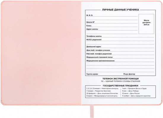 Дневник школьный «Серебряный зайчик»
